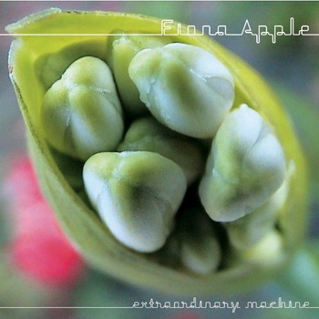 Fiona Apple lyrics - Extraordinary Machine album - music lyrics