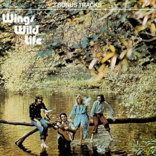 Paul McCartney lyrics - Wild Life album - music lyrics