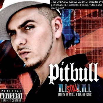 Pitbull lyrics - Money Is Still A Major Issue album - music lyrics