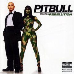 Pitbull lyrics - Rebelution album - music lyrics